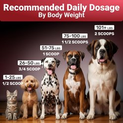 Wuffwell Seven Shrooms Mushroom Powder Supplement for Dogs, 2-oz slide 2 of 9