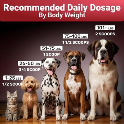 Show full view: Wuffwell Seven Shrooms Mushroom Powder Supplement for Dogs, 2-oz slide 8 of 10