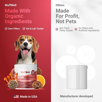 Show full view: Wuffwell Seven Shrooms Mushroom Powder Supplement for Dogs, 2-oz slide 9 of 10