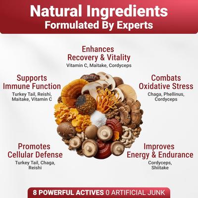 Show full view: Wuffwell Seven Shrooms Mushroom Powder Supplement for Dogs, 2-oz slide 6 of 10