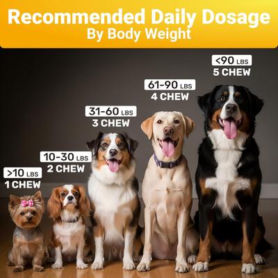 Show full view: Wuffwell Allergy Supplement Chews for Dogs, 140 count slide 9 of 11