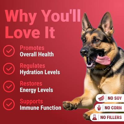Show full view: Wuffwell Seven Shrooms Mushroom Powder Supplement for Dogs, 2-oz slide 4 of 10