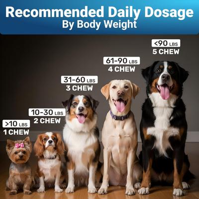 Show full view: Wuffwell Skin & Coat Omega Supplement Chews for Dogs, 140 count slide 9 of 10