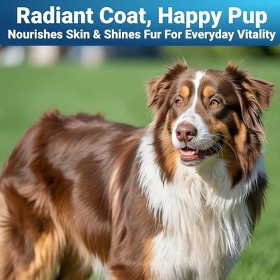 Show full view: Wuffwell Skin & Coat Omega Supplement Chews for Dogs, 140 count slide 5 of 10