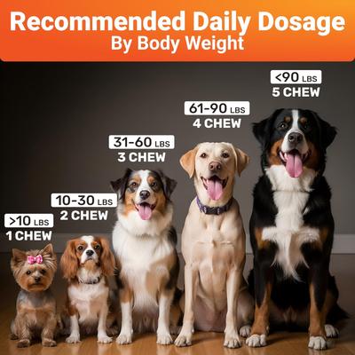 Show full view: Wuffwell Hip & Joint Supplement Chews for Dogs, 140 count slide 9 of 11