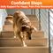Show in main carousel: Wuffwell Hip & Joint Supplement Chews for Dogs, 140 count slide 5 of 11