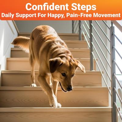 Show full view: Wuffwell Hip & Joint Supplement Chews for Dogs, 140 count slide 5 of 11