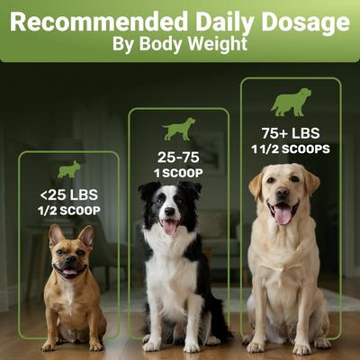 Show full view: Wuffwell Dental Cleaning Powder with Probiotics for Dogs, 2-oz slide 9 of 10