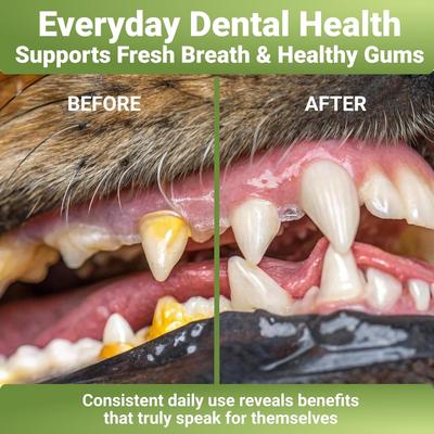 Show full view: Wuffwell Dental Cleaning Powder with Probiotics for Dogs, 2-oz slide 5 of 10