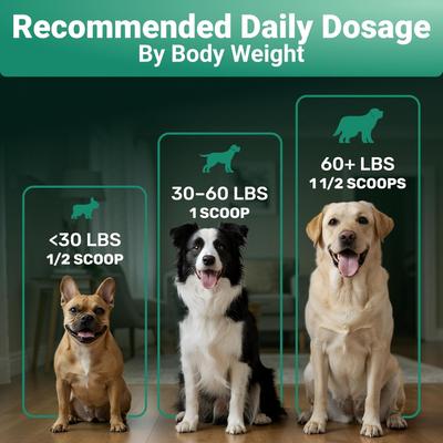 Show full view: Wuffwell Skin & Coat Supplement Collagen Powder, 2-oz slide 9 of 11