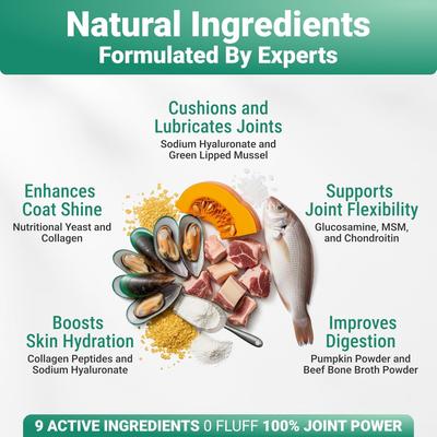 Show full view: Wuffwell Skin & Coat Supplement Collagen Powder, 2-oz slide 6 of 11