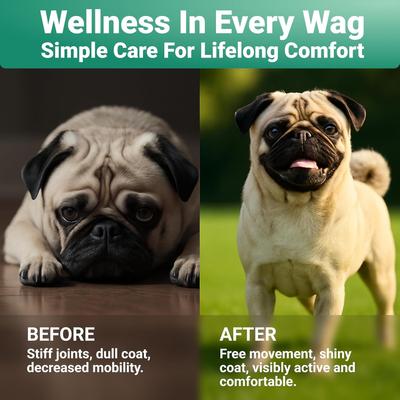 Show full view: Wuffwell Skin & Coat Supplement Collagen Powder, 2-oz slide 5 of 11