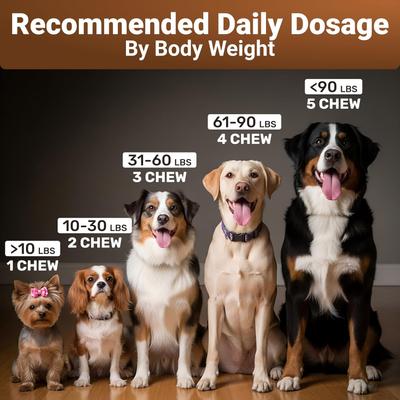 Show full view: Wuffwell Mighty Mushroom Supplement Chews for Dogs, 140 count slide 9 of 10