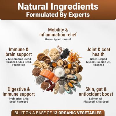 Show full view: Wuffwell Mighty Mushroom Supplement Chews for Dogs, 140 count slide 6 of 10