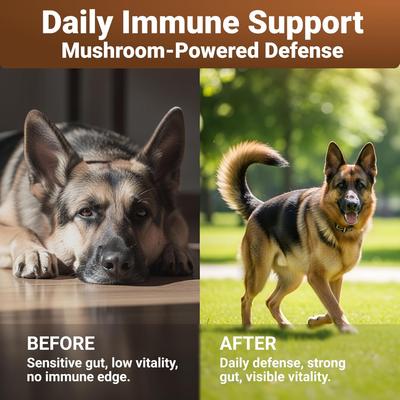 Show full view: Wuffwell Mighty Mushroom Supplement Chews for Dogs, 140 count slide 5 of 10
