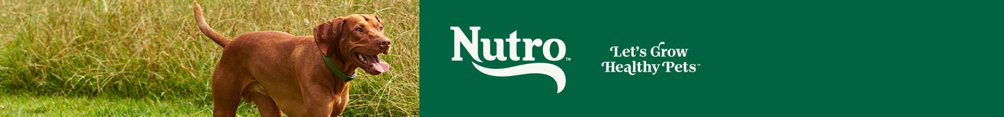 Nutro Let's Grow Healthy Pets