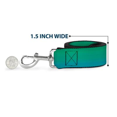 Show full view: Buckle-Down Teal Ombre Polyester Dog Leash, Turquoise, 4-ft long, 1-in wide slide 6 of 6