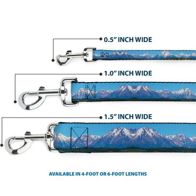 Show full view: Buckle-Down Landscape Snowy Mountains Polyester Dog Leash, Blue, 6-ft long, 1-in wide slide 3 of 6