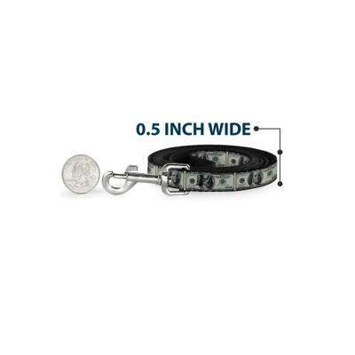 Show full view: Buckle-Down 100 Dollar Bills Polyester Dog Leash, 6-ft long, 1-in wide slide 4 of 6