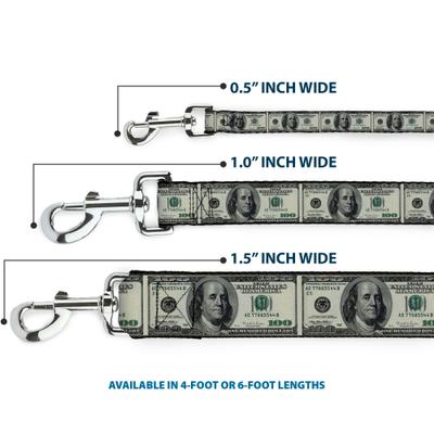 Show full view: Buckle-Down 100 Dollar Bills Polyester Dog Leash, 6-ft long, 1-in wide slide 3 of 6