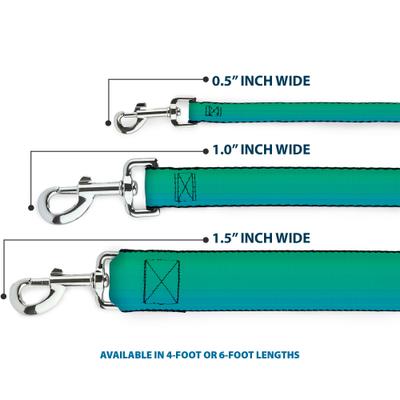 Show full view: Buckle-Down Teal Ombre Polyester Dog Leash, Turquoise, 4-ft long, 1-in wide slide 3 of 6