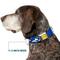 Show in main carousel: Buckle-Down Peanuts Worldwide LLC Snoopy Running Metal Seatbelt Buckle Dog Collar, Blue, Medium: 16 to 23-in neck, 1.5-in wide slide 7 of 10