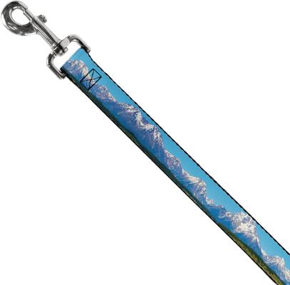 Show full view: Buckle-Down Landscape Snowy Mountains Polyester Dog Leash, Blue, 6-ft long, 1-in wide slide 2 of 6