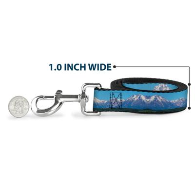Show full view: Buckle-Down Landscape Snowy Mountains Polyester Dog Leash, Blue, 6-ft long, 1-in wide slide 5 of 6