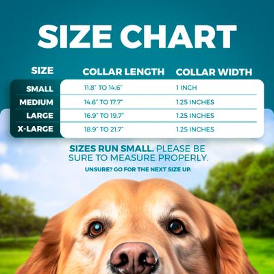 Show full view: Blazin O So Comfy O-Ring Reflective Neoprene Waterproof Dog Collar, Blue, X-Large: 18.9 to 21.7-in neck, 1.25-in wide slide 4 of 10