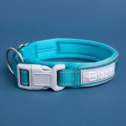 Blazin O So Comfy O-Ring Reflective Neoprene Waterproof Dog Collar, Blue, X-Large: 18.9 to 21.7-in neck, 1.25-in wide slide 2 of 9