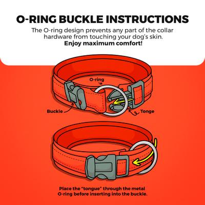 Show full view: Blazin O So Comfy O-Ring Reflective Neoprene Waterproof Dog Collar, Blue, X-Large: 18.9 to 21.7-in neck, 1.25-in wide slide 6 of 10