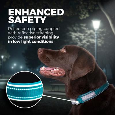 Show full view: Blazin O So Comfy O-Ring Reflective Neoprene Waterproof Dog Collar, Blue, X-Large: 18.9 to 21.7-in neck, 1.25-in wide slide 2 of 10