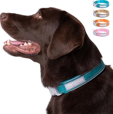 Show full view: Blazin O So Comfy O-Ring Reflective Neoprene Waterproof Dog Collar, Blue, X-Large: 18.9 to 21.7-in neck, 1.25-in wide slide 8 of 10