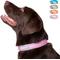 Show in main carousel: Blazin O So Comfy O-Ring Reflective Neoprene Waterproof Dog Collar, Pink, Small: 11.8 to 14.6-in neck, 1-in wide slide 8 of 10