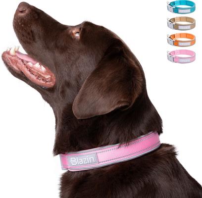 Show full view: Blazin O So Comfy O-Ring Reflective Neoprene Waterproof Dog Collar, Pink, Small: 11.8 to 14.6-in neck, 1-in wide slide 8 of 10