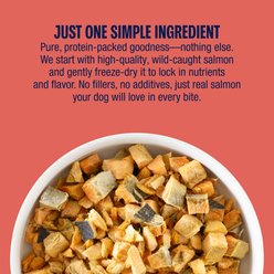 Muenster Salmon Filet Freeze-Dried Dog Treats, 3-oz pouch slide 2 of 6