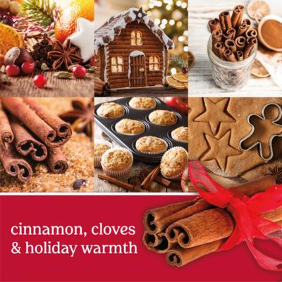 Show full view: Yankee Candle Car Jar Ultimate Air Freshener, Sparkling Cinnamon, 4 count slide 3 of 4