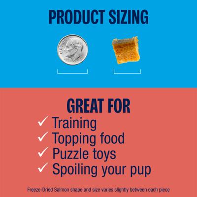 Show full view: Muenster Salmon Filet Freeze-Dried Dog Treats, 3-oz pouch slide 4 of 7