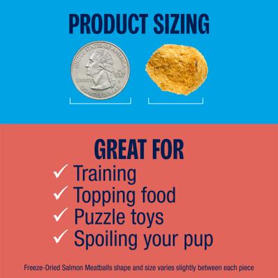 Show full view: Muenster Salmon Meatball Freeze-Dried Dog Treats, 4-oz pouch slide 4 of 7