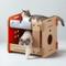 Show in main carousel: New Age Pet Purr & Play Bunk Bed Cat Scratcher Toy, Orange slide 7 of 8