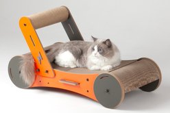 New Age Pet Purr & Play Kitty Trolley Cat Scratcher Toy, Orange