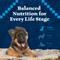 Show in main carousel: Blue Buffalo Wilderness Puppy High-Protein Grain-Free Chicken Dry Dog Food, 13-lb bag slide 10 of 11