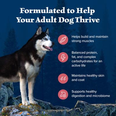 Show full view: Blue Buffalo Wilderness Salmon Recipe Adult High-Protein Grain-Free Dry Dog Food, 13-lb bag slide 6 of 11