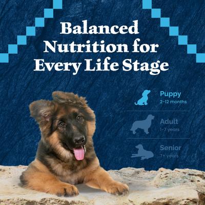 Show full view: Blue Buffalo Wilderness Puppy Chicken Recipe High-Protein Grain-Free Dry Dog Food, 24-lb bag slide 10 of 11