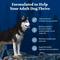 Show in main carousel: Blue Buffalo Wilderness Chicken Recipe Adult High-Protein Grain-Free Dry Dog Food, 4.5-lb bag slide 6 of 11