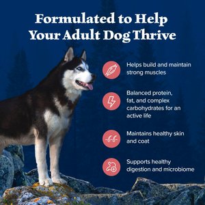 Blue Buffalo Wilderness Salmon Recipe Adult High-Protein Grain-Free Dry Dog Food, 24-lb bag