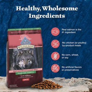 Blue Buffalo Wilderness Salmon Recipe Adult High-Protein Grain-Free Dry Dog Food, 24-lb bag
