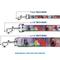 Show in main carousel: Buckle-Down Beauty & the Beast Stained Glass Scenes Polyester Dog Leash, 6-ft long, 1-in wide slide 3 of 6