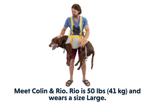 Show full view: Ruffwear BackTrak Evacuation Kit Dog Harness, Cloudburst Gray, Medium slide 9 of 10