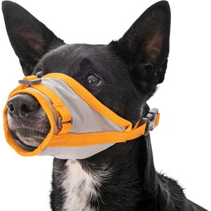 Ruffwear BackTrak Evacuation Kit Dog Harness, Cloudburst Gray, Large
